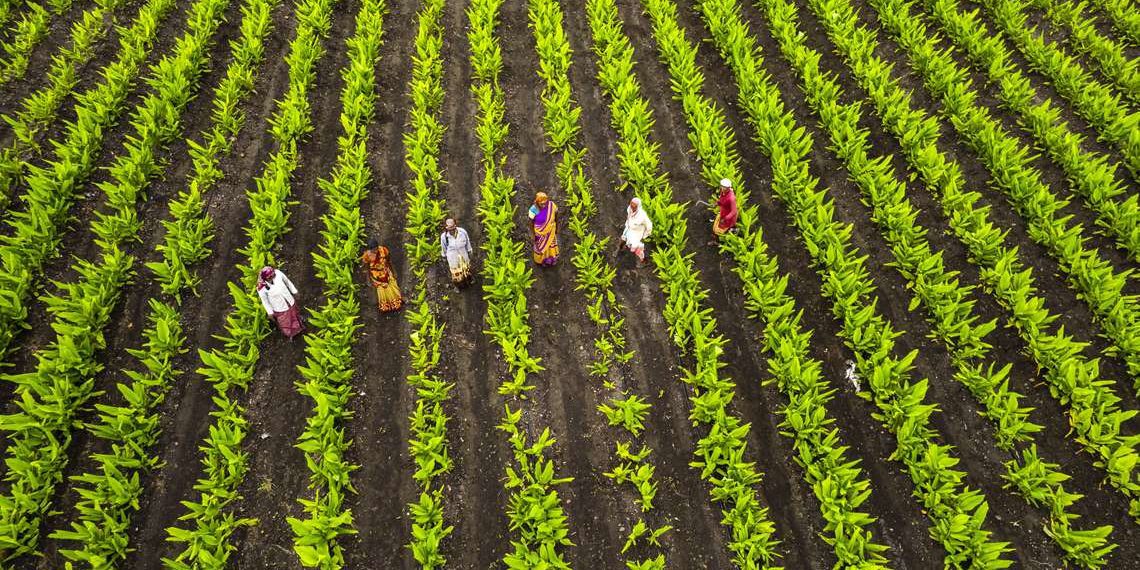 Produzimos mais em menos área se preservarmos o meio ambiente, afirma Lula