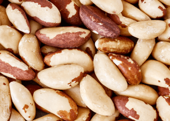 Costa Rica abre mercado para castanha-do-Brasil