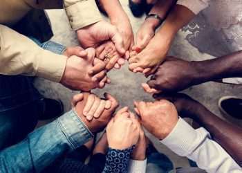 lições da mercado e consumo