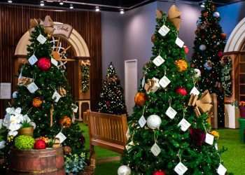 Sem glitter ou plástico: Shopping Parque da Cidade tem decoração 100% sustentável