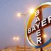 Bayer