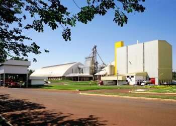 JBS anuncia 160 vagas para recém-formados no Programa de Talentos da Seara