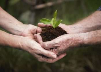 Menos da metade dos consumidores confia no discurso sustentável das empresas