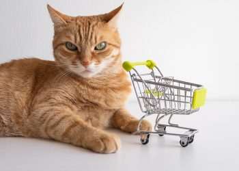 Petlove acelera entregas e atende consumidor em até um dia útil