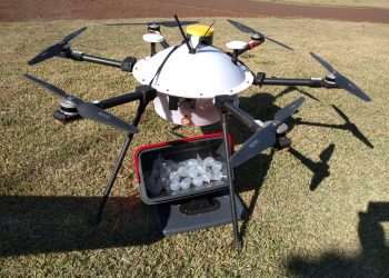 Com drone e energia solar, granja do futuro está chegando na BRF