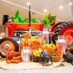 Conheça o "supermercado do futuro" da rede Dalben no interior de SP