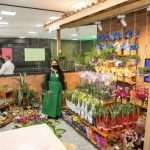 Conheça o "supermercado do futuro" da rede Dalben no interior de SP