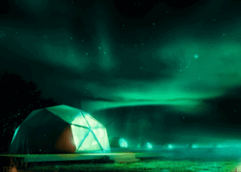 Cerveja Becks monta acampamento para trazer experiência do Tomorrowland