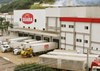 Seara lança plataforma de gestão digital para granjas de integrados