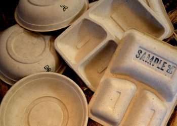 Ambev investe em startup de embalagens sustentáveis e lança solução com biomaterial