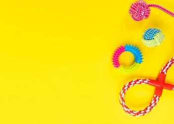 Aquisição da Zee Dog representa globalização da Petz, diz CEO da empresa