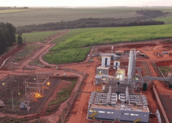 Raízen, sociedade entre Cosan e Shell, levanta R$ 6,9 bi e faz maior IPO do ano