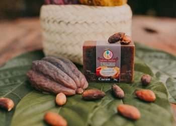 Americanas lança loja com itens da Amazônia em marketplace social