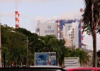 Suzano