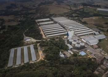 Grupo Mantiqueira inaugura lojas de ovos em São Paulo