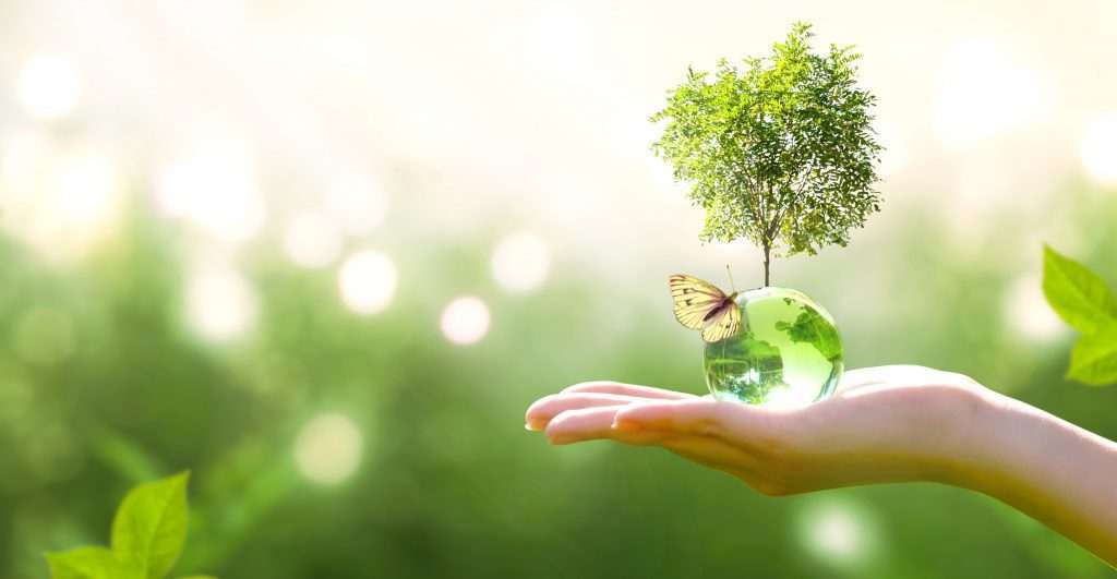 EDP, Renner, Telefônica, CPFL e Natura lideram ranking de sustentabilidade da B3