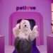conhecida-no-e-commerce-petlove-vai-abrir-lojas-fisicas