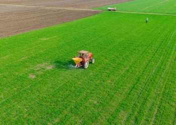 Tereza Cristina: Temos preocupação com a safra de verão, no fim de setembro