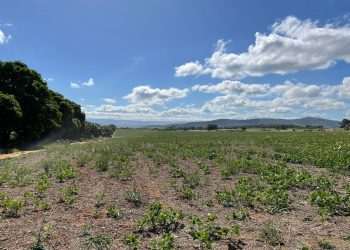 Grupo Heineken vai instalar nova cervejaria em Passos, Minas Gerais