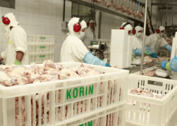 Korin, marca da Igreja Messiânica, terá nova fábrica no interior paulista