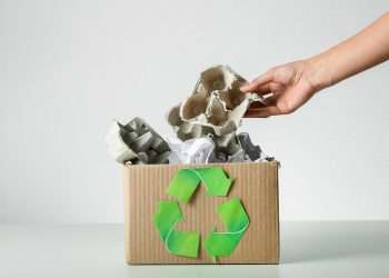 Marcas e consumidores estão mais conscientes com relação à sustentabilidade da embalagem