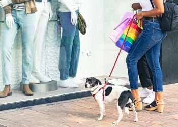 Nove em cada dez shoppings adotam ambientes pet friendly