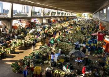 resultado ocorreu, principalmente, pelo faturamento de R$ 1,430 milhão em armazenagem