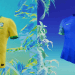 Brahma e Nike lançam vídeos para despolitizar a camisa da seleção brasileira