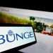 Bunge
