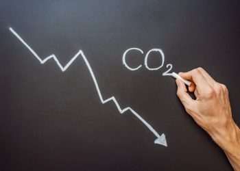 BRF reduz mais de 18 mil toneladas de CO₂ em operações logísticas