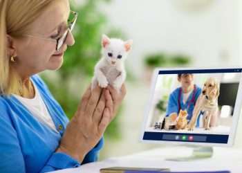 Startup Dr Mep é a primeira em telemedicina para pets no mundo