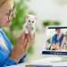 Startup Dr Mep é a primeira em telemedicina para pets no mundo