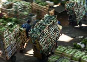 Bloqueio em estradas reduz em 17% movimento na Ceagesp