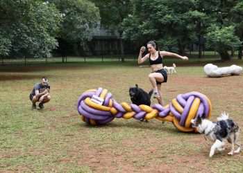 Petlove inaugura espaço pet a céu aberto no Parque Ibirapuera, em São Paulo