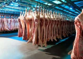 China e Indonésia habilitam frigoríficos do Brasil para exportação, diz Fávaro