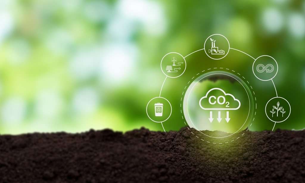 Fecomercio-SP quer regras claras para criação de mercado de carbono