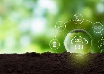 Fecomercio-SP quer regras claras para criação de mercado de carbono