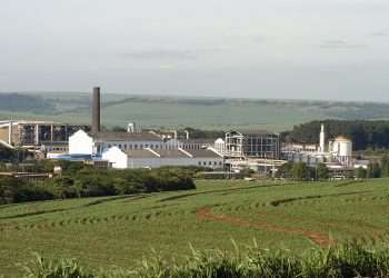 São Martinho mira novos negócios e investe R$ 150 mi em centro de inovação