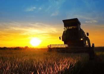 Supercampo firma parceria e avança para digitalização do agronegócio