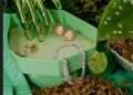 Swarovski lança reposicionamento global em pop-up no Rio de Janeiro