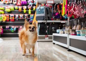 Busca por pet shops está entre principais motivos da ida de consumidores aos shoppings Shutterstock