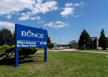 Bunge