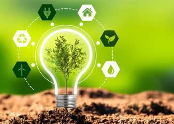 Energia limpa ganha protagonismo nas empresas brasileiras