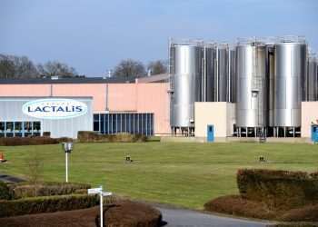 Cade aprova, com condicionantes, compra da DPA pela Lactalis do Brasil