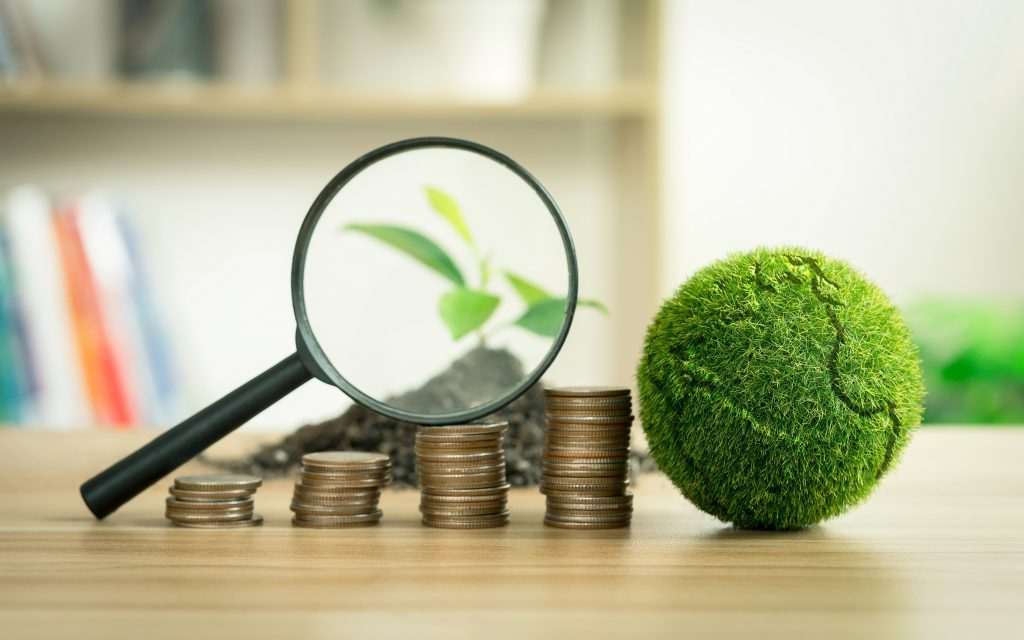 A sustentabilidade como aliada do lucro em Negócios de Impacto Socioambiental