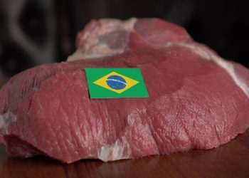 Lula garante que Brasil vai receber os R$ 2 bilhões da carne parada na China