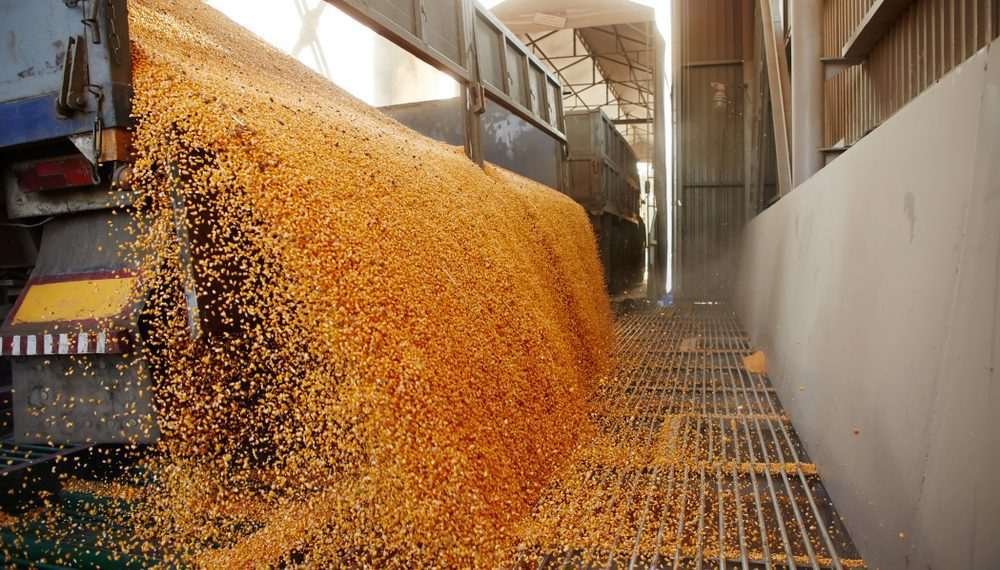 Após 6 anos, Conab retoma política de estoques públicos de alimentos