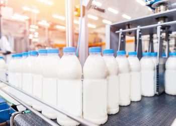 Leite da marca Natville têm venda suspensa pela Anvisa