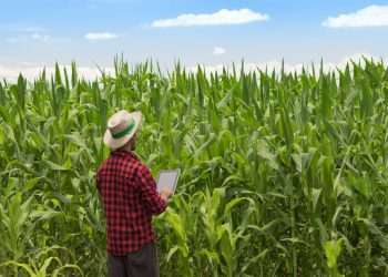 Ipea revisa crescimento do PIB agro para 2023 de 11,6% para 13,2%