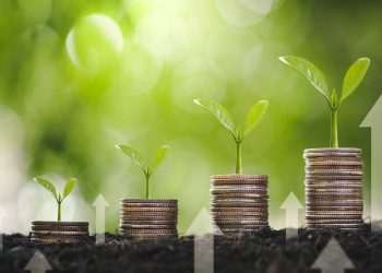 Crescera e Triaxis recebem inscrições para novo fundo para startups focado em ESG